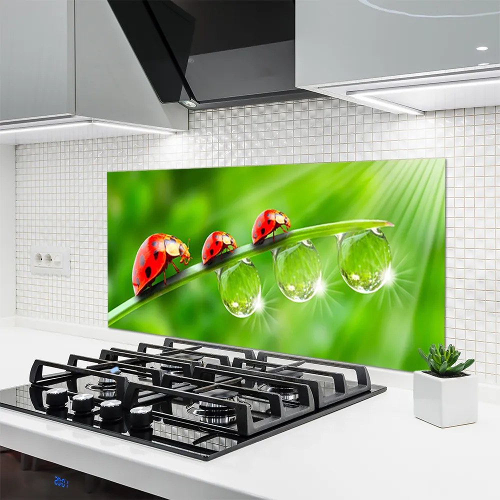 Panel Szklany Biedronki w Porannej Rosie