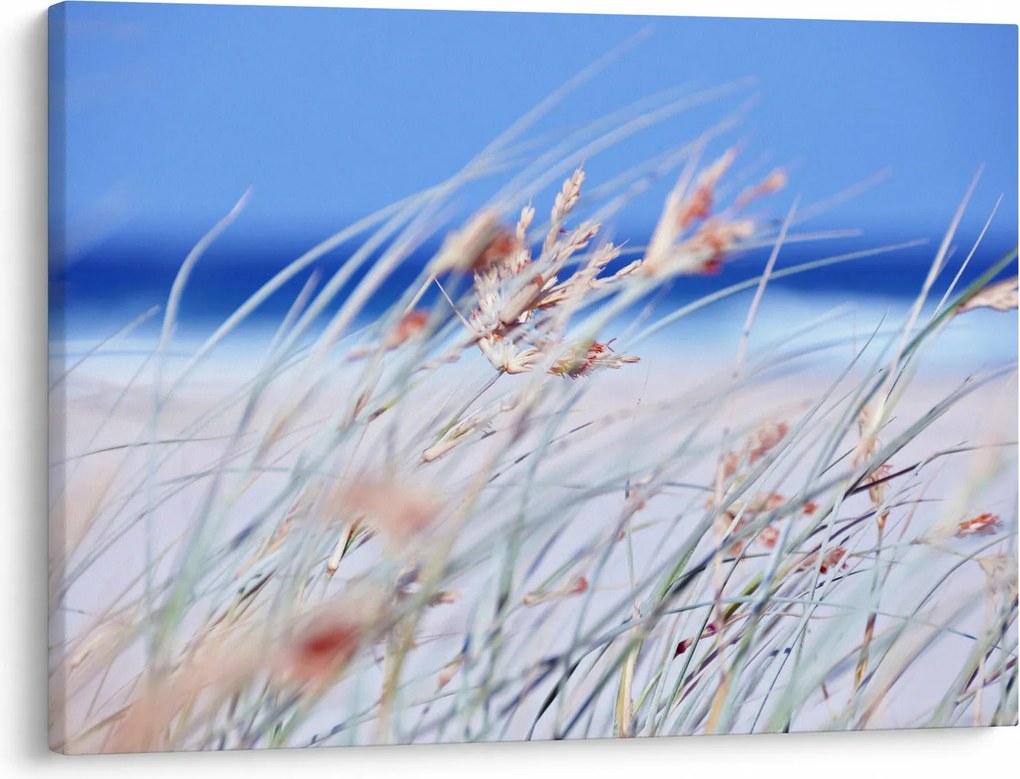 Obraz - Bryza (70x50 cm)