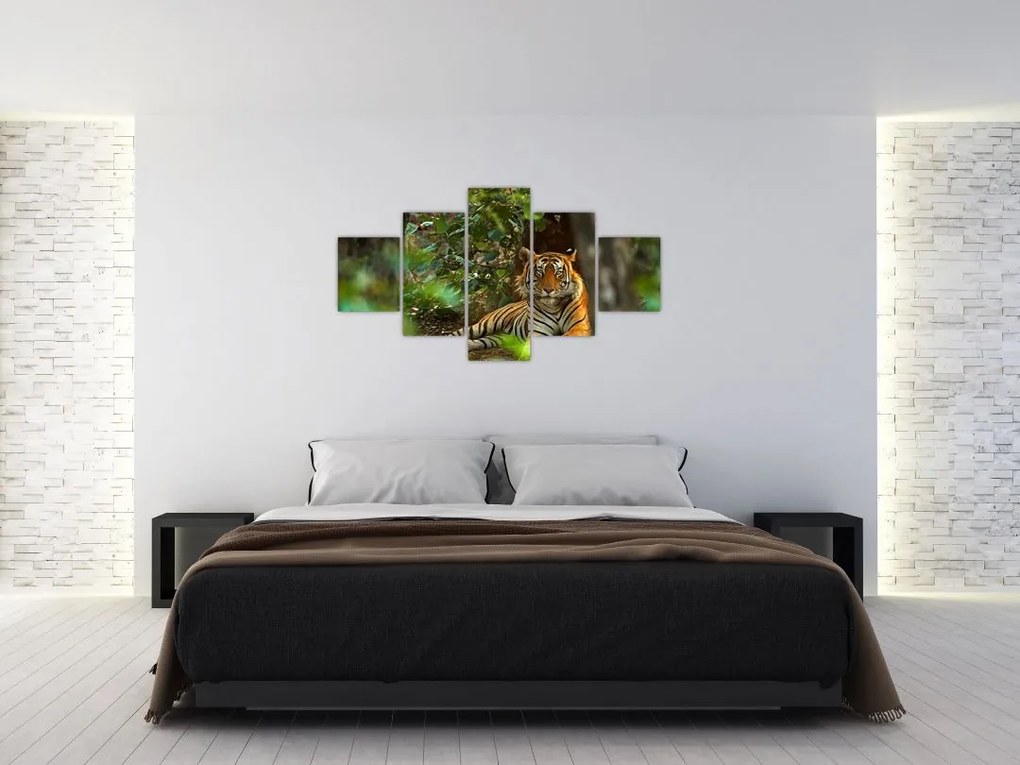 Obraz odpoczywającego tygrysa (125x70 cm)