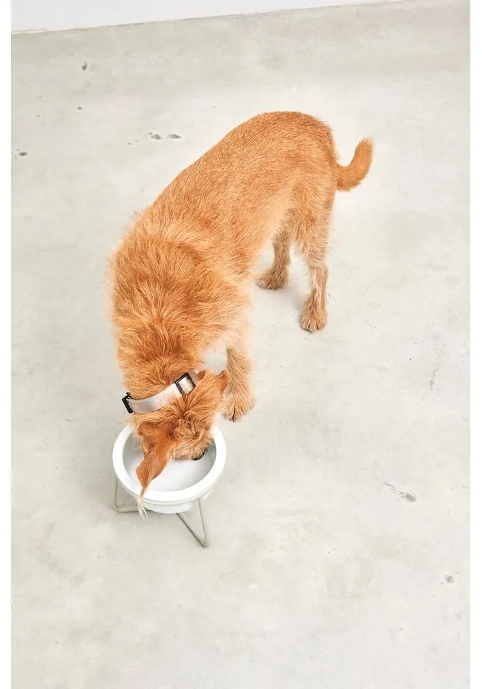 Porcelanowa miska ze stojakiem dla psów ø 20 cm Pranzo Greige M – MiaCara