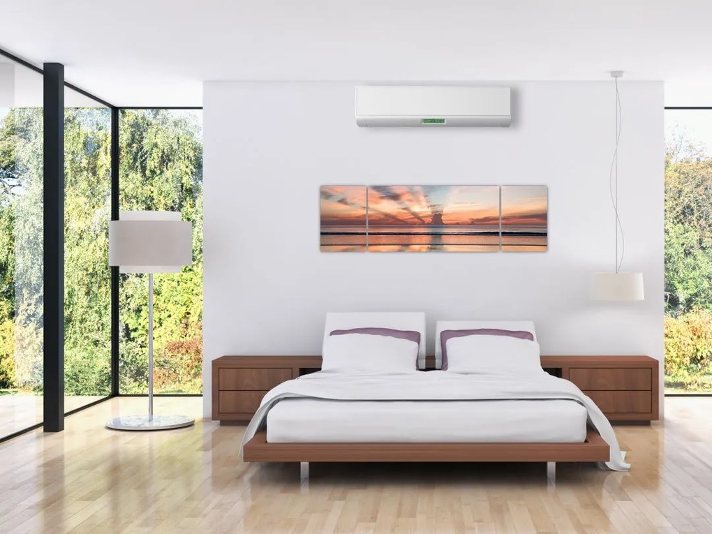 Obraz promieni słonecznych nad plażą Dayton (170x50 cm)