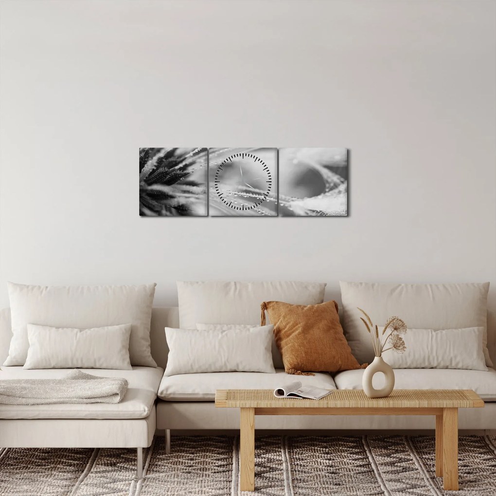 Obraz - Makro, czarno - biały (z zegarem) (90x30 cm)