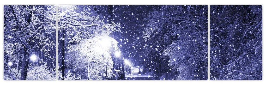 Obraz - Magiczna zimowa noc (170x50 cm)
