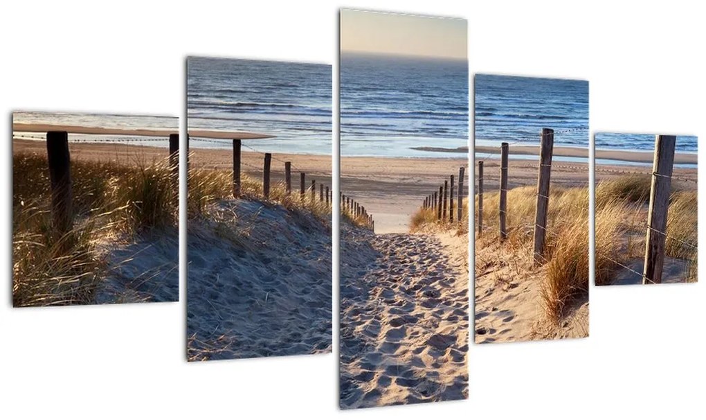 Obraz - Droga na plażę Morza Północnego, Holandia (125x70 cm)