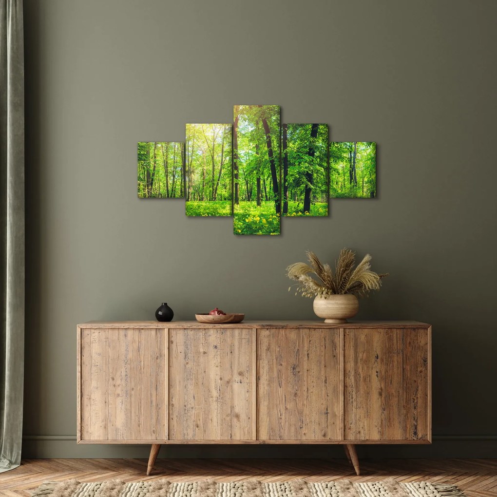 Obraz - Wiosenny las liściasty (125x70 cm)
