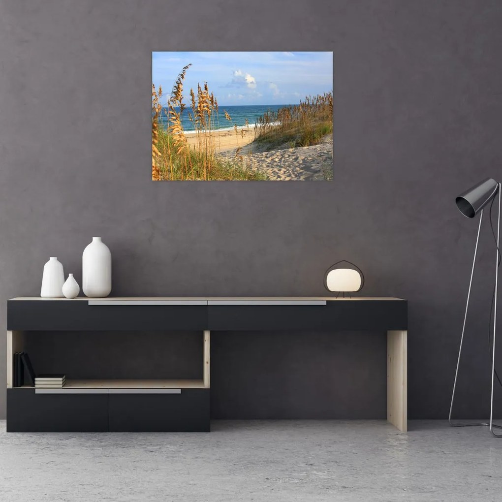 Obraz - Plaża (70x50 cm)