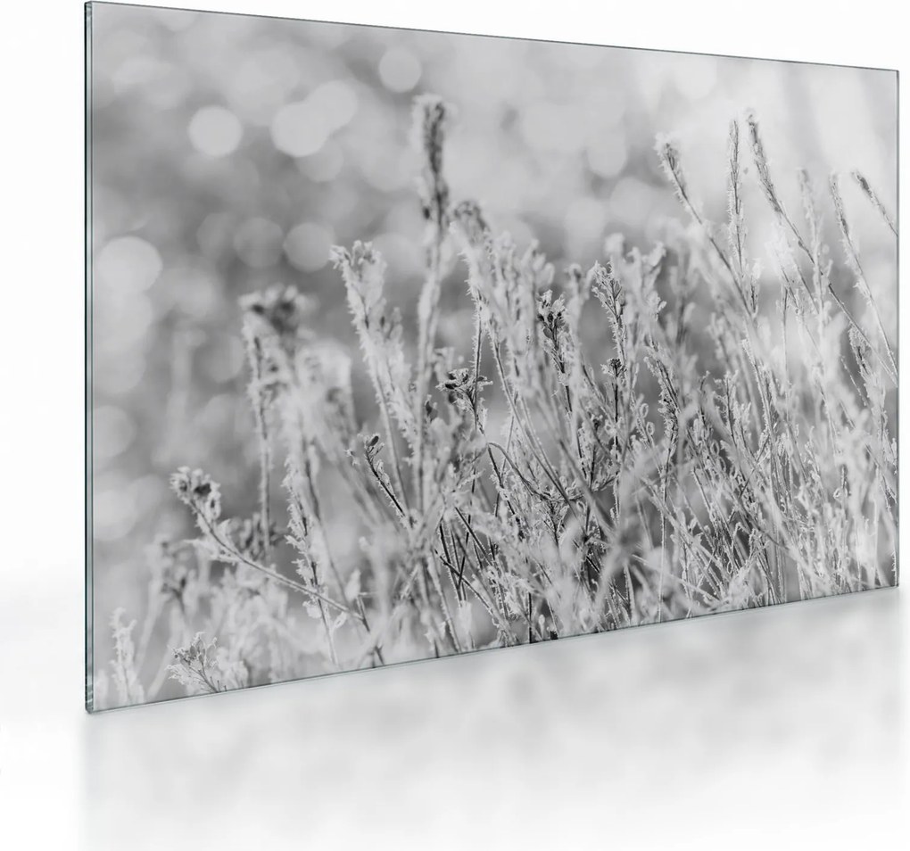 Obraz na szkle - Mroźna zima (70x50 cm)