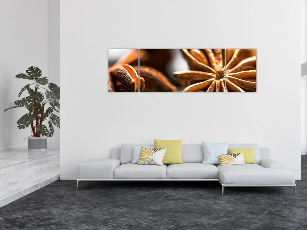 Obraz - Anyż (170x50 cm)