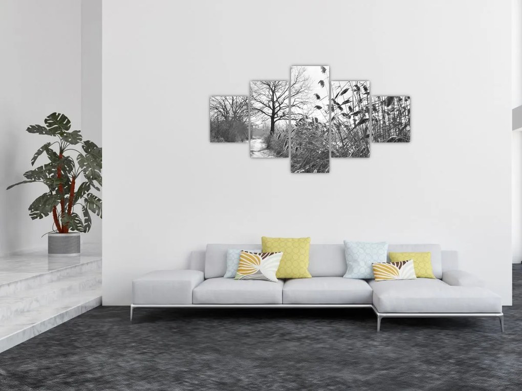 Obraz - Pola w zimie (125x70 cm)