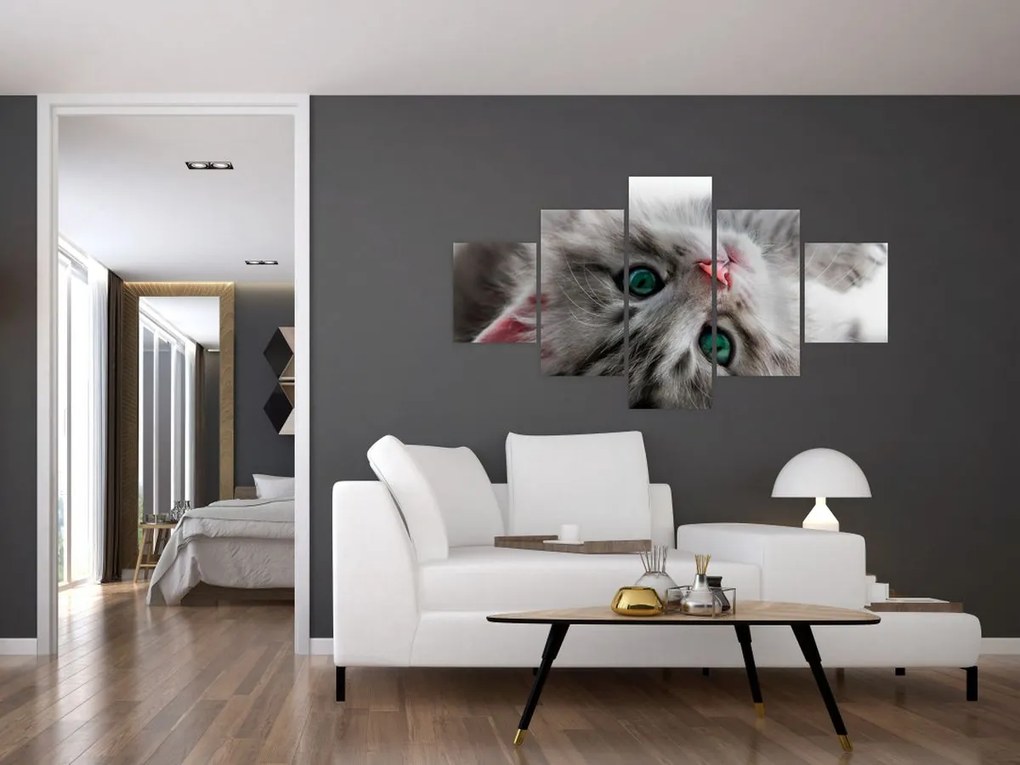 Obraz - Kot z zielonymi oczami (125x70 cm)