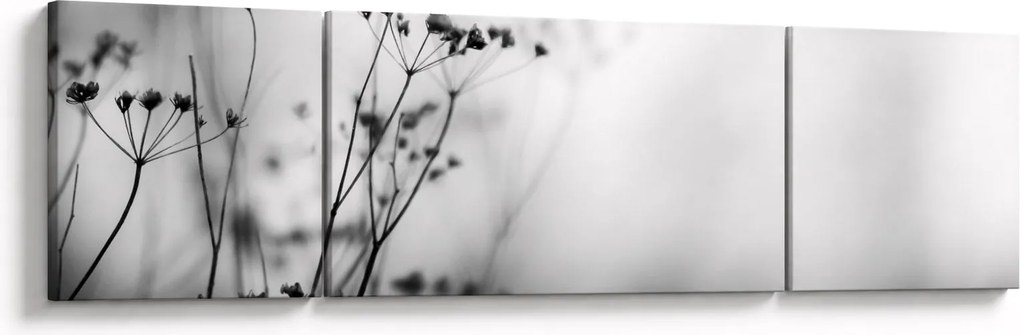 Obraz - Detal kwiatów polnych (170x50 cm)