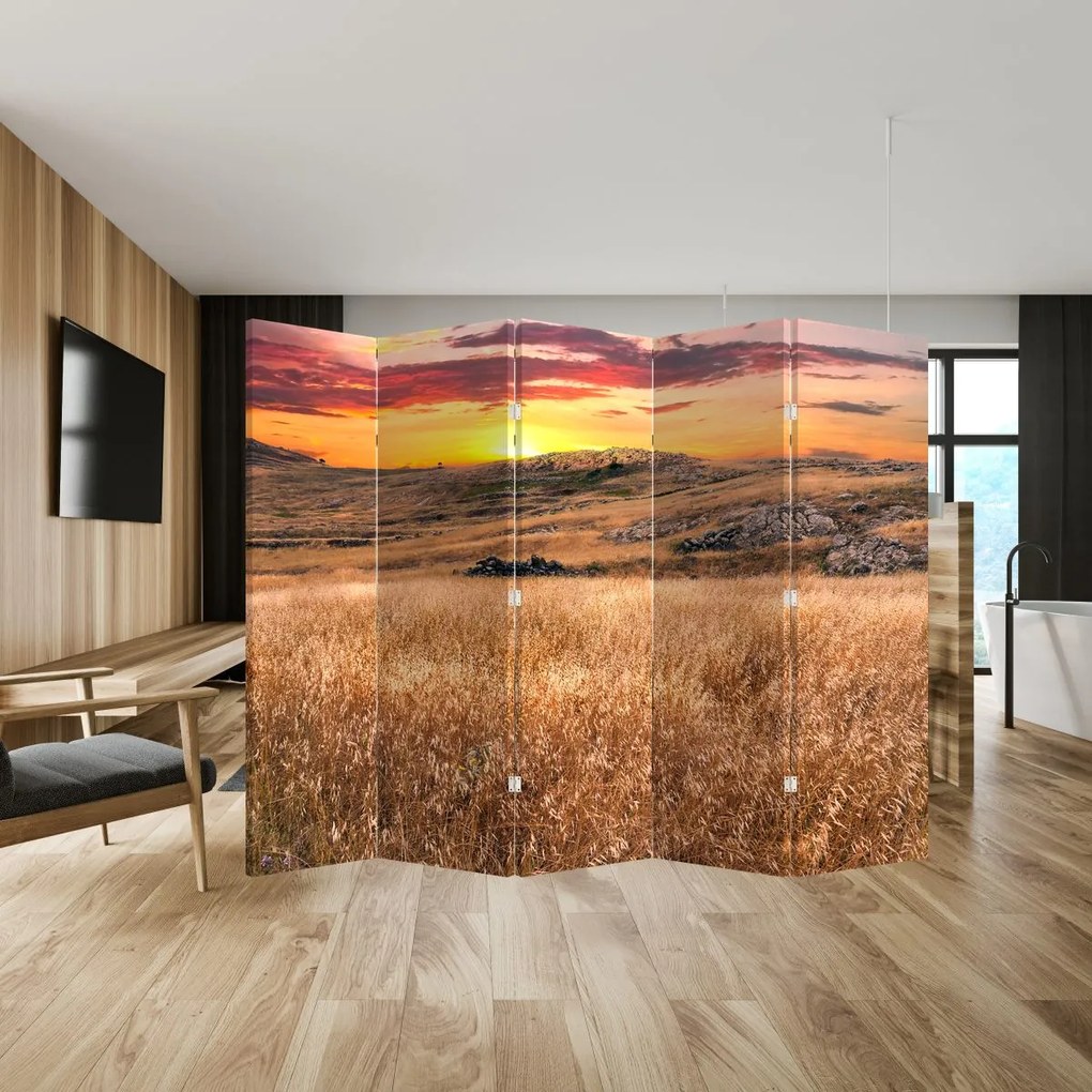 Parawan - Pole (210x170 cm)