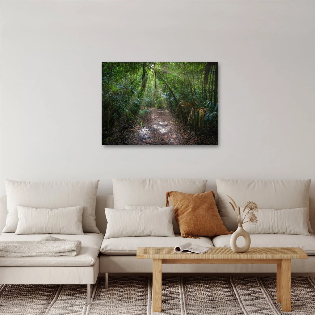 Obraz - Promienie słońca w dżungli (70x50 cm)