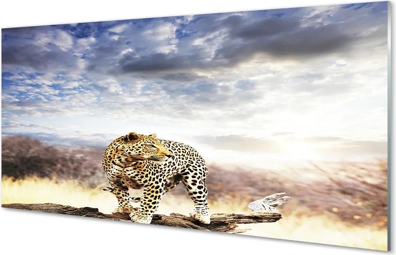 Panel szklany do Kuchni Pantera na tle Chmur