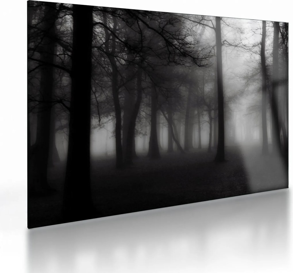 Obraz na szkle - Las we mgle (70x50 cm)