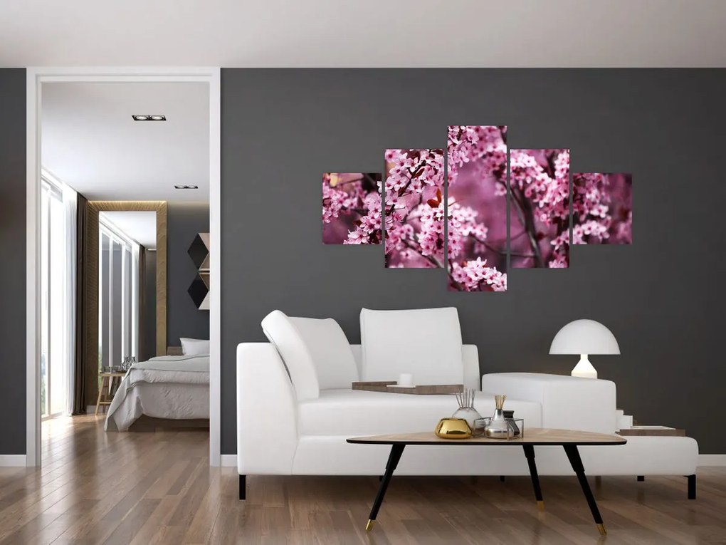 Obraz - Różowa sakura (125x70 cm)