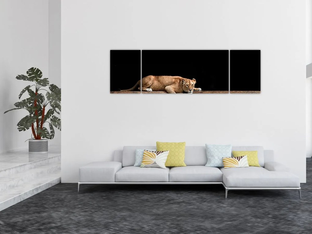 Obraz - Lwica (170x50 cm)