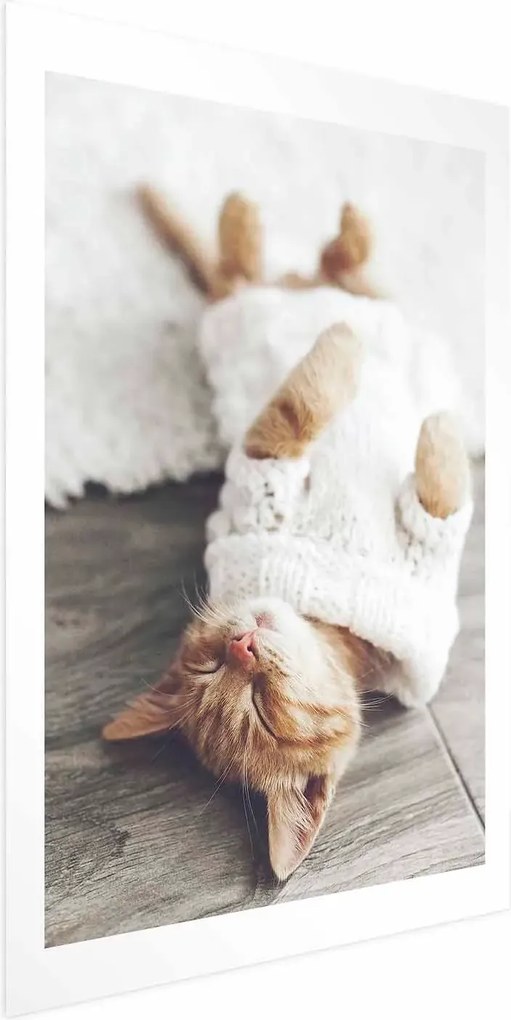 Plakat Leniwy kot 21x30 cm bez ramy z marginesem ARTGEIST B