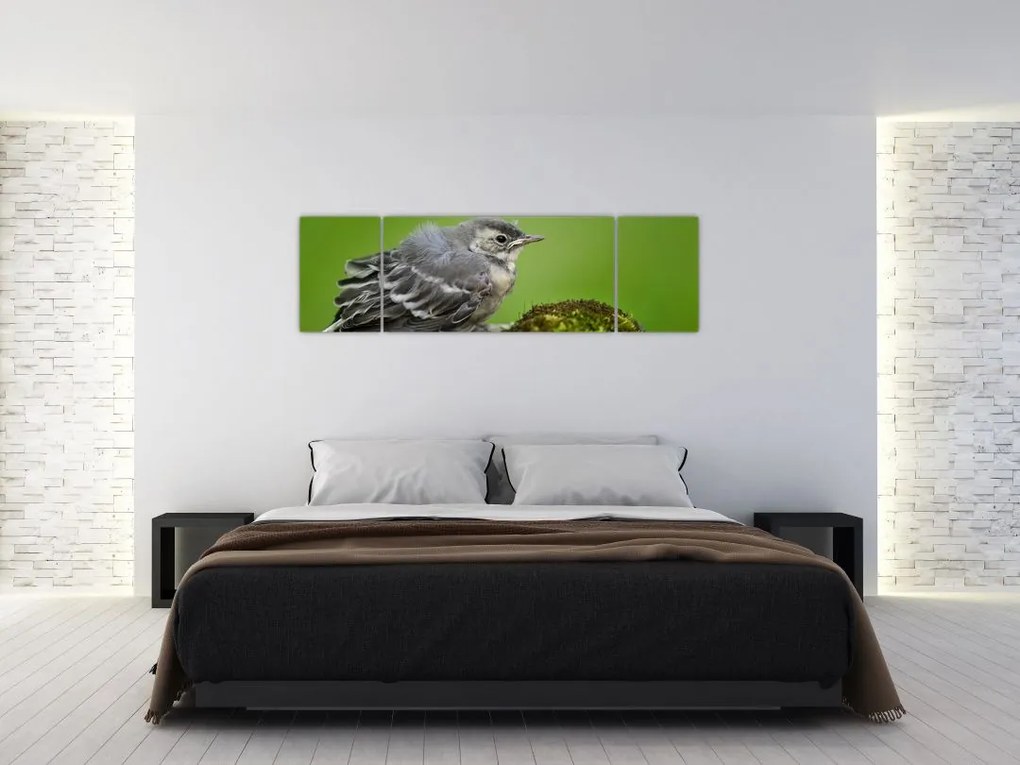 Obraz - Muchołówka (170x50 cm)