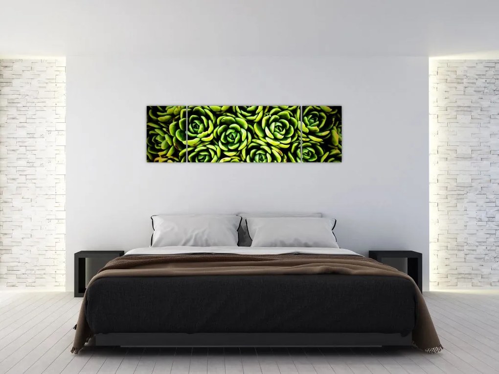 Obraz bez grzywki (170x50 cm)