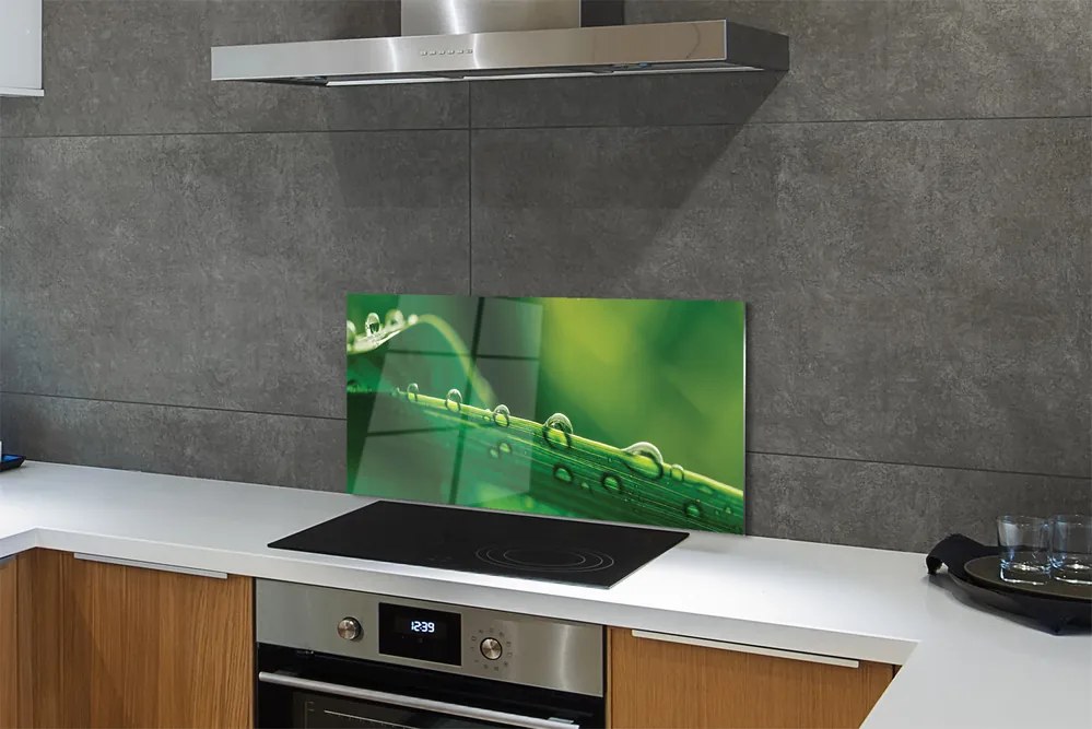 Panel szklany do Kuchni Źdźbło Trawy z Kroplą Rosy