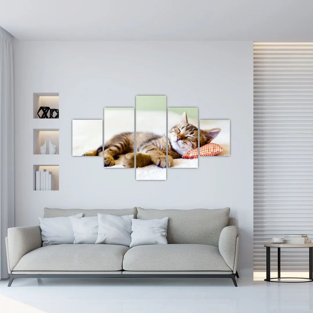 Obraz - Śpiący kotek (125x70 cm)