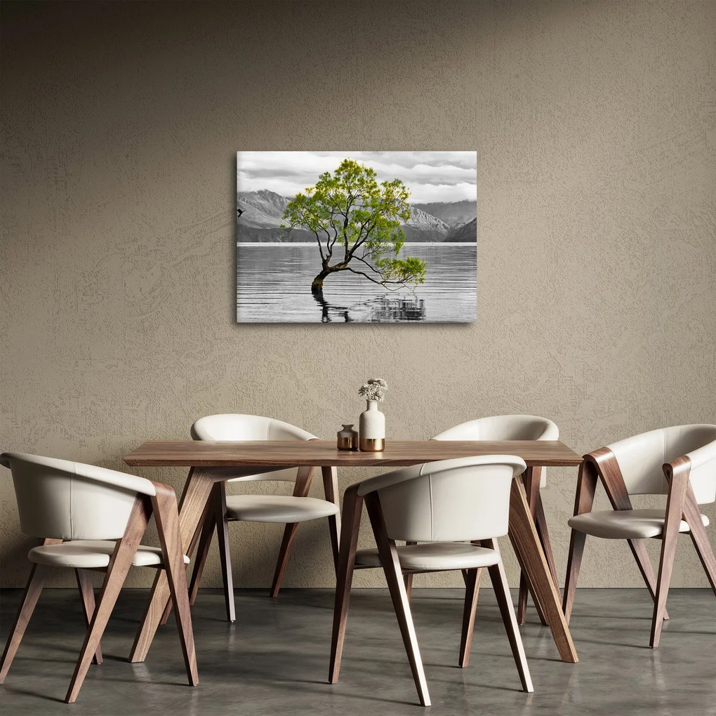 Obraz drzewa na środku jeziora (70x50 cm)