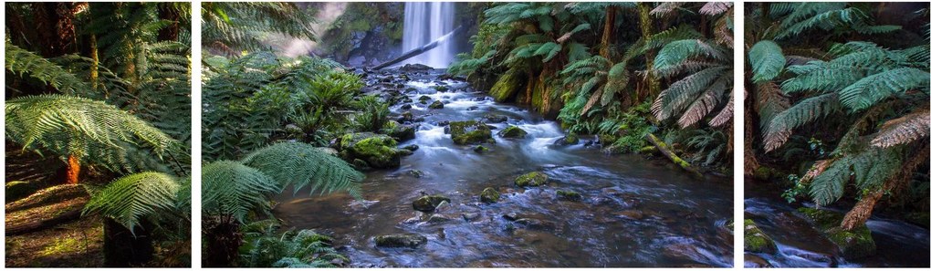 Obraz australijskiego lasu deszczowego (170x50 cm)