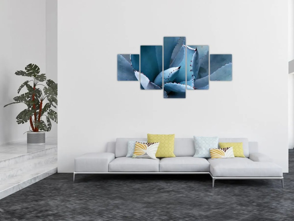 Obraz - Agawa (125x70 cm)