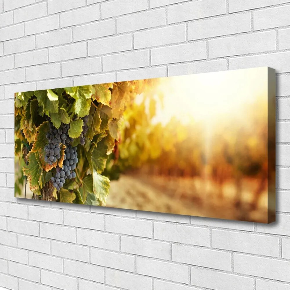 Obraz Canvas Winogrona Liście Kuchnia