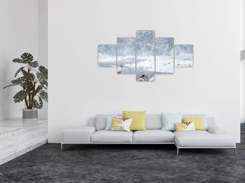 Obraz łabędzi (125x70 cm)