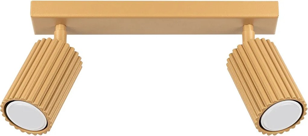 Lampa Sufitowa Minimalistyczny Karbon, Aluminium - 2 Źródło - L.30 X H.16.5 Cm - Złoty