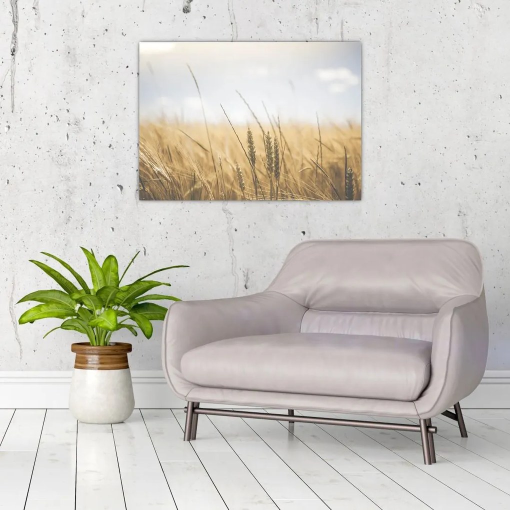 Obraz ziarna (70x50 cm)