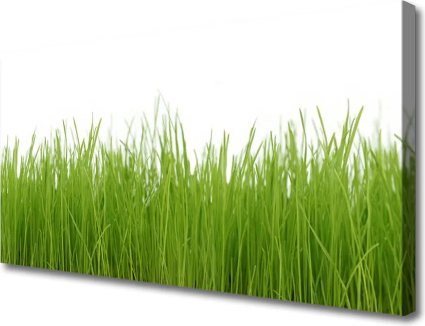 Obraz canvas Soczysta Zielona Trawa
