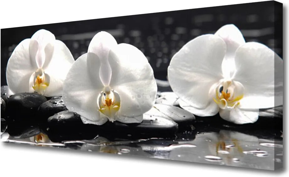 Obraz canvas Subtelny Biały Storczyk