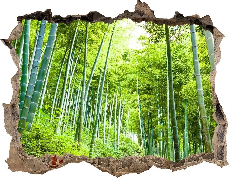 naklejka fototapeta 3D widok Las bambusowy