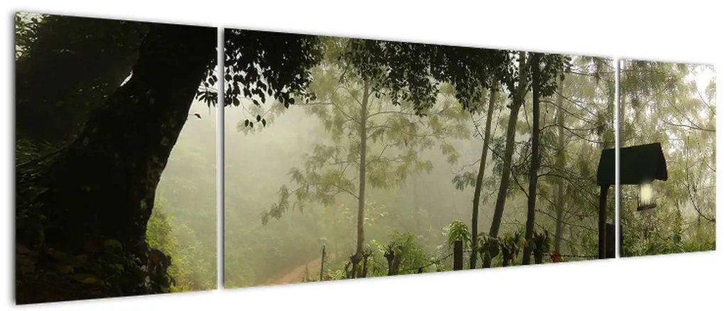 Obraz porannej mgły (170x50 cm)