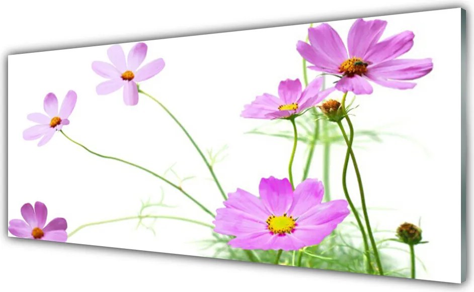 Panel Kuchenny Delikatność Polnych Roślin