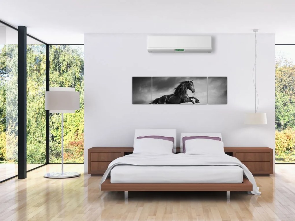 Obraz - Czarny i biały koń (170x50 cm)