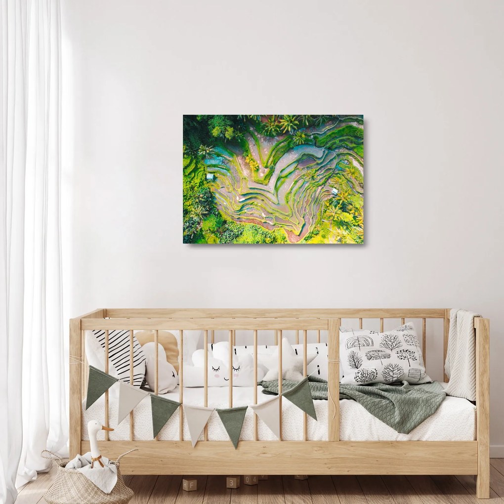 Obraz na szkle pól ryżowych z lotu ptaka (70x50 cm)