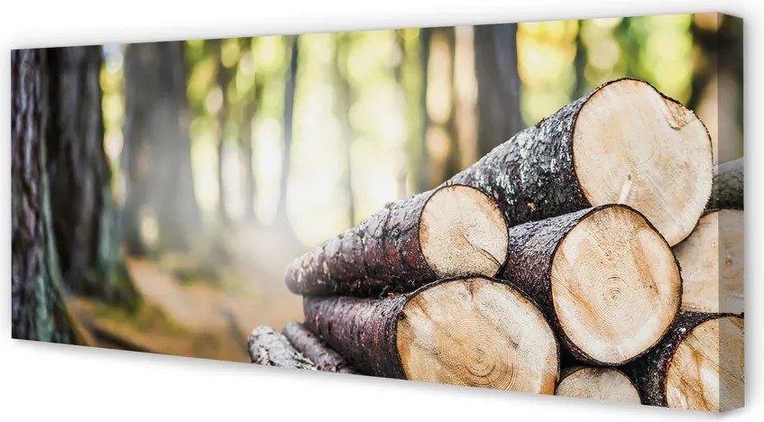 Obraz drukowany na płótnie Esencja Drewna Z Lasu