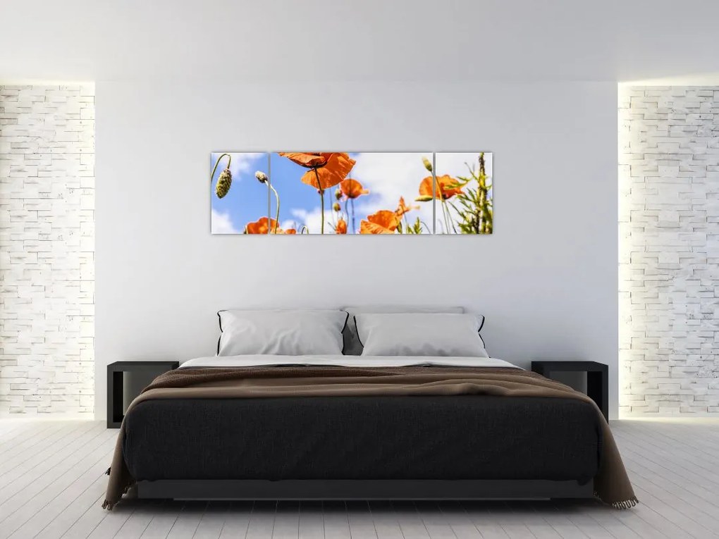 Obraz maków (170x50 cm)