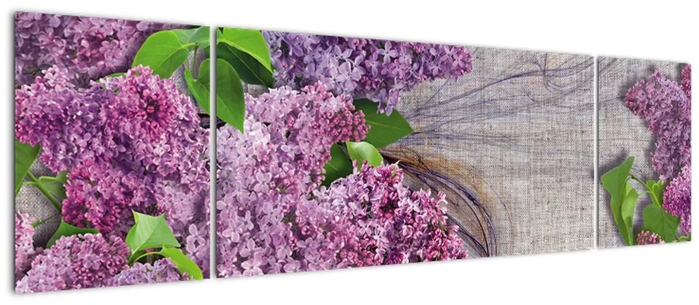 Obraz - Bez (170x50 cm)
