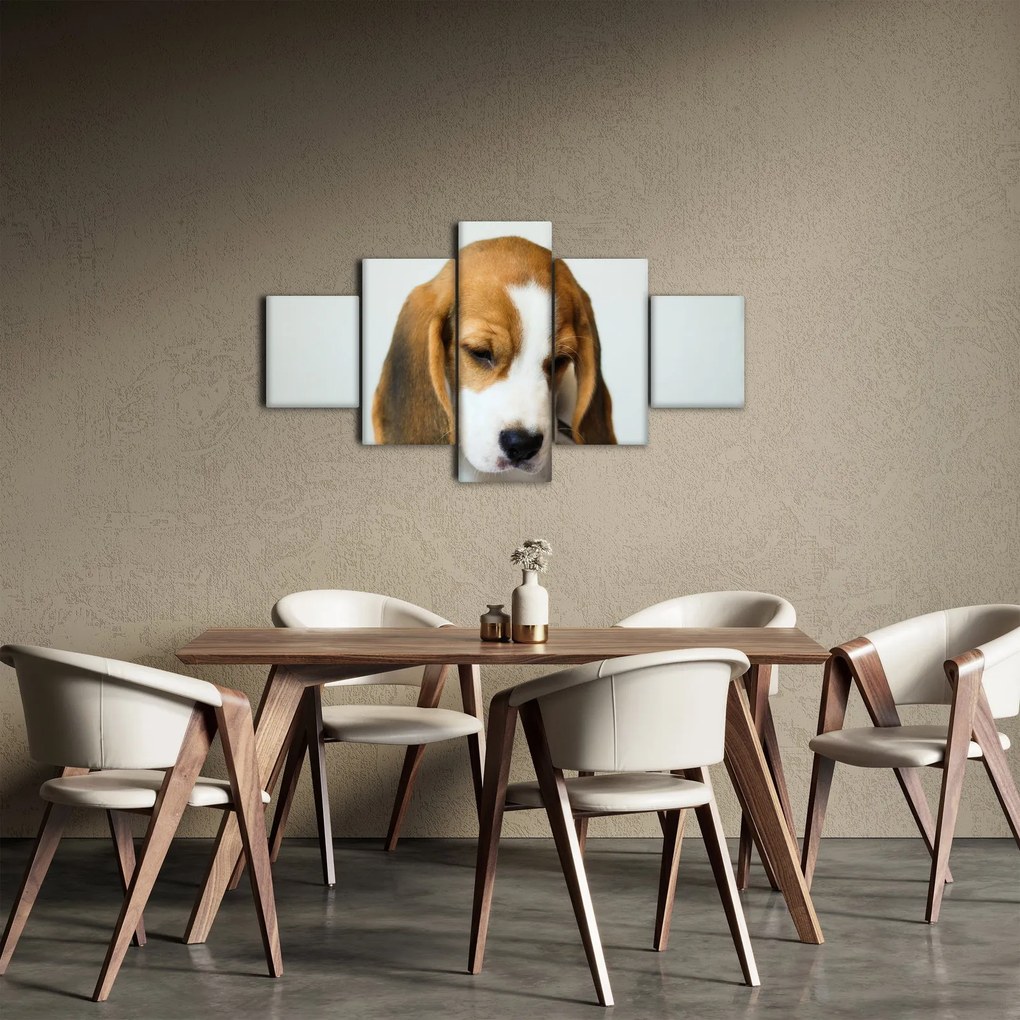 Obraz Beagle (125x70 cm)