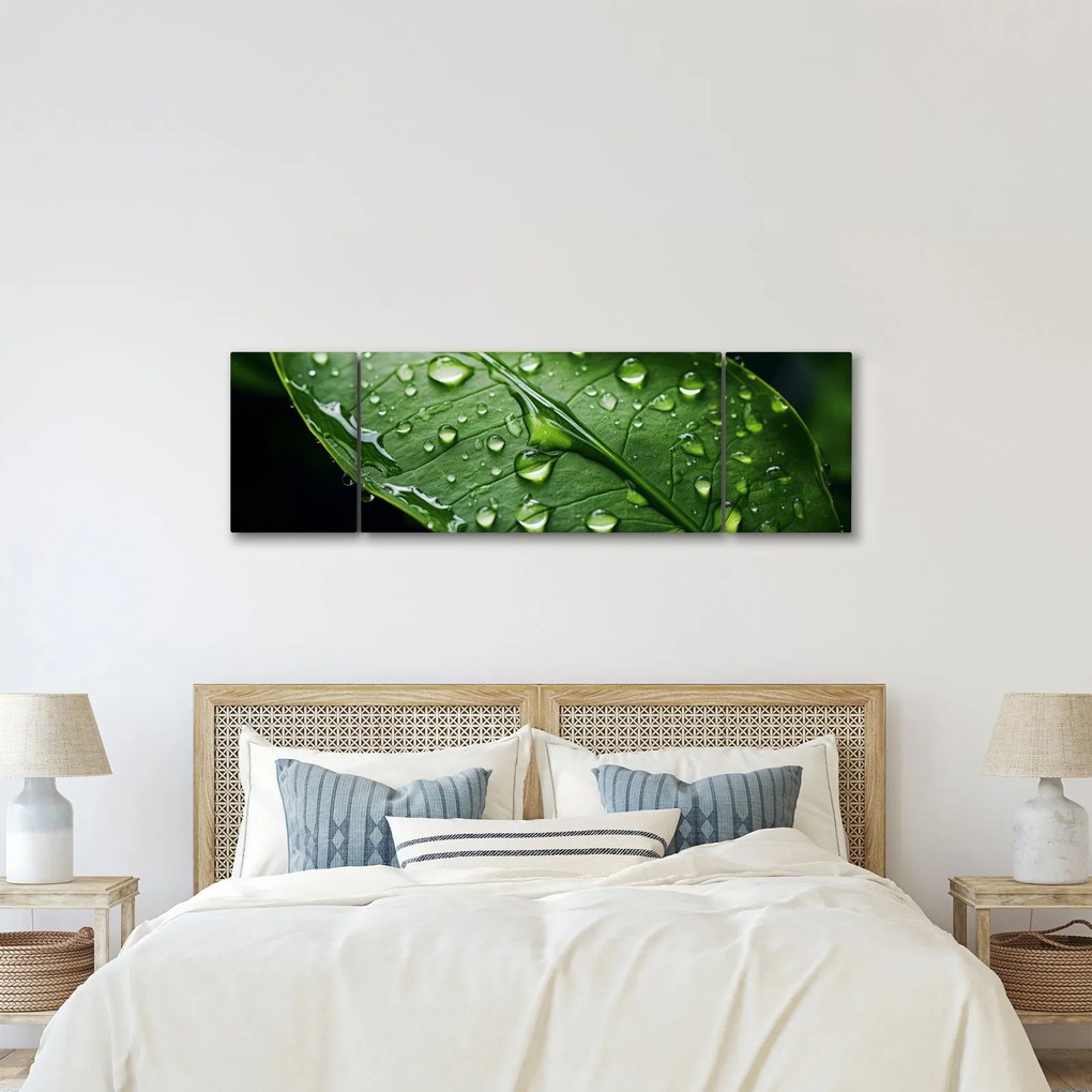 Obraz - Liść po deszczu (170x50 cm)
