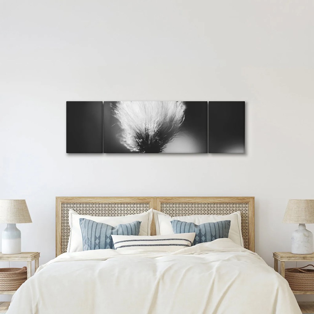 Obraz - Czarno-biała trawa bawełniana (170x50 cm)