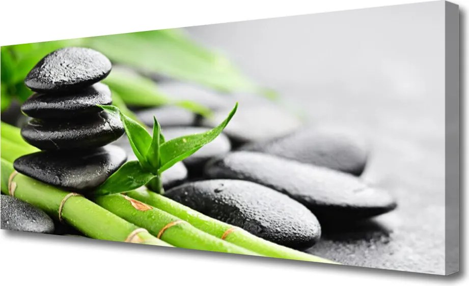 Obraz canvas na ścianę Świeżość Bambusa i Kamieni
