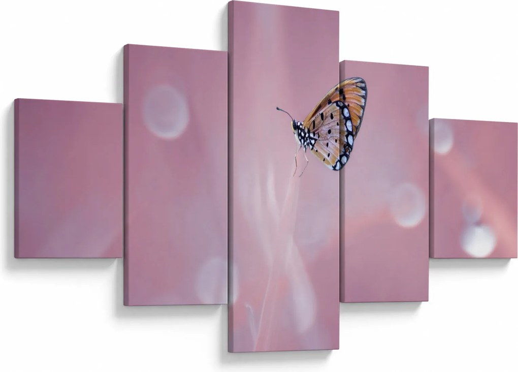 Obraz - Motyl (125x70 cm)