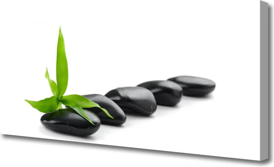 Zdjęcie na płótnie Kompozycja Kamienia i Liścia