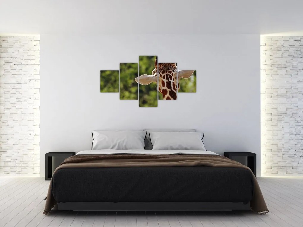 Obraz żyrafy od tyłu (125x70 cm)